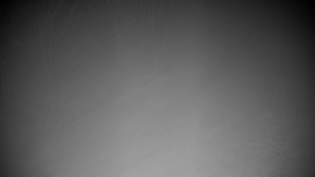 Webcam Ribnik Vrbje – Žalec