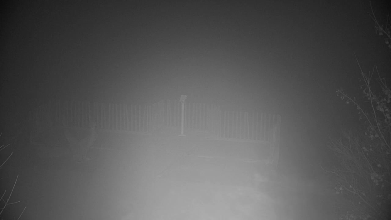 Webcam Ribnik Vrbje – Žalec