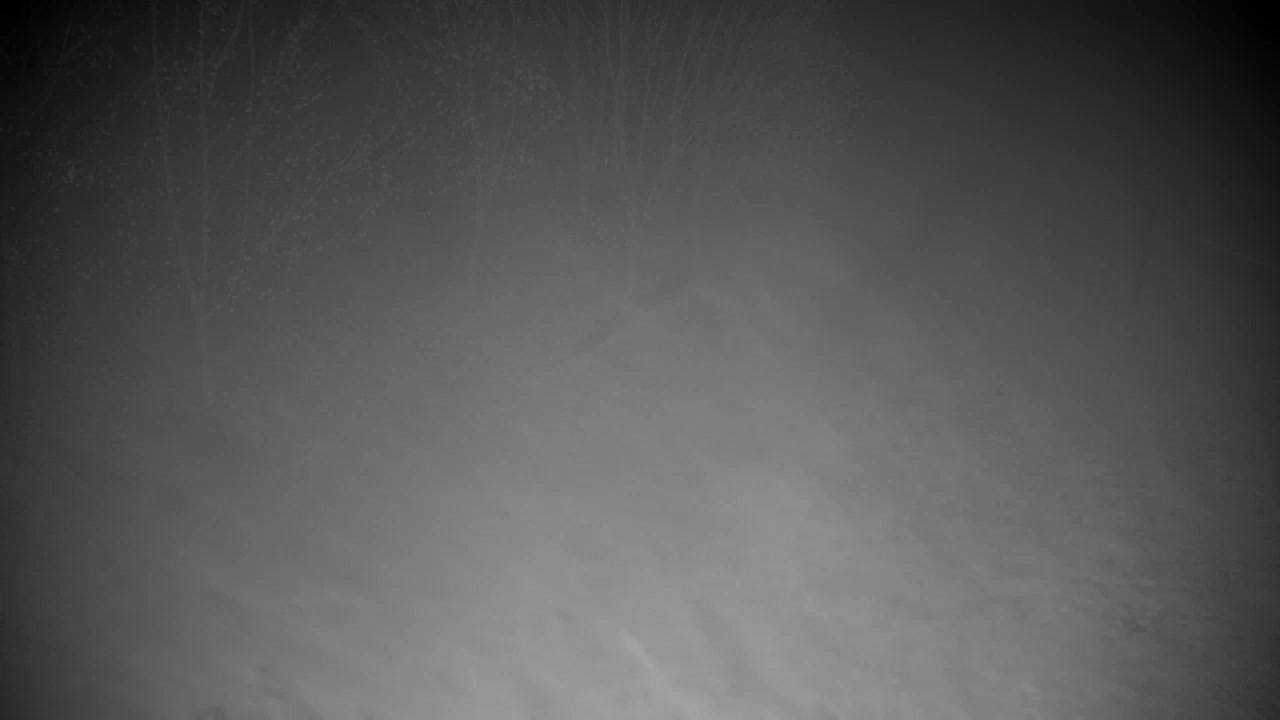 Webcam Ribnik Vrbje – Žalec