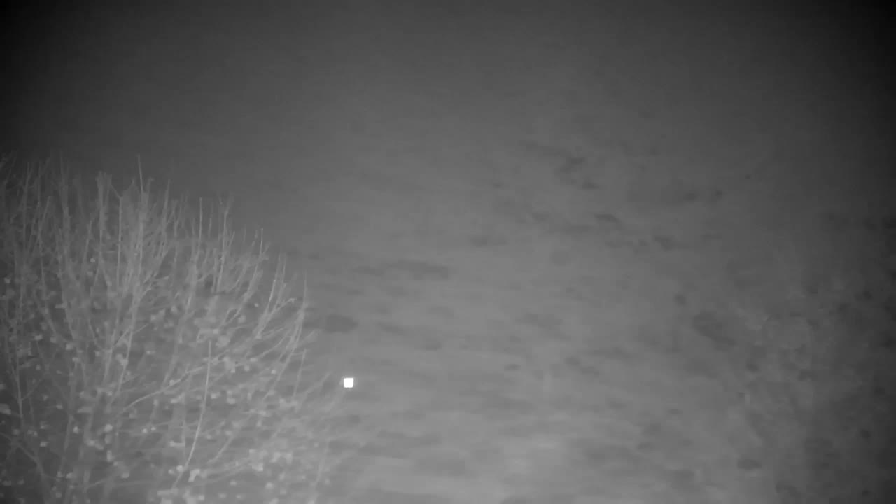 Webcam Ribnik Vrbje – Žalec