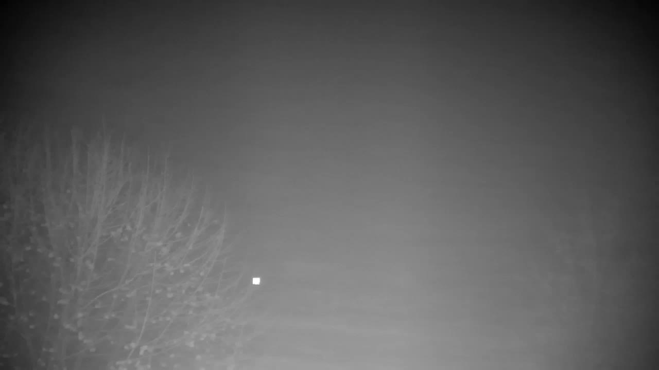 Webcam Ribnik Vrbje – Žalec