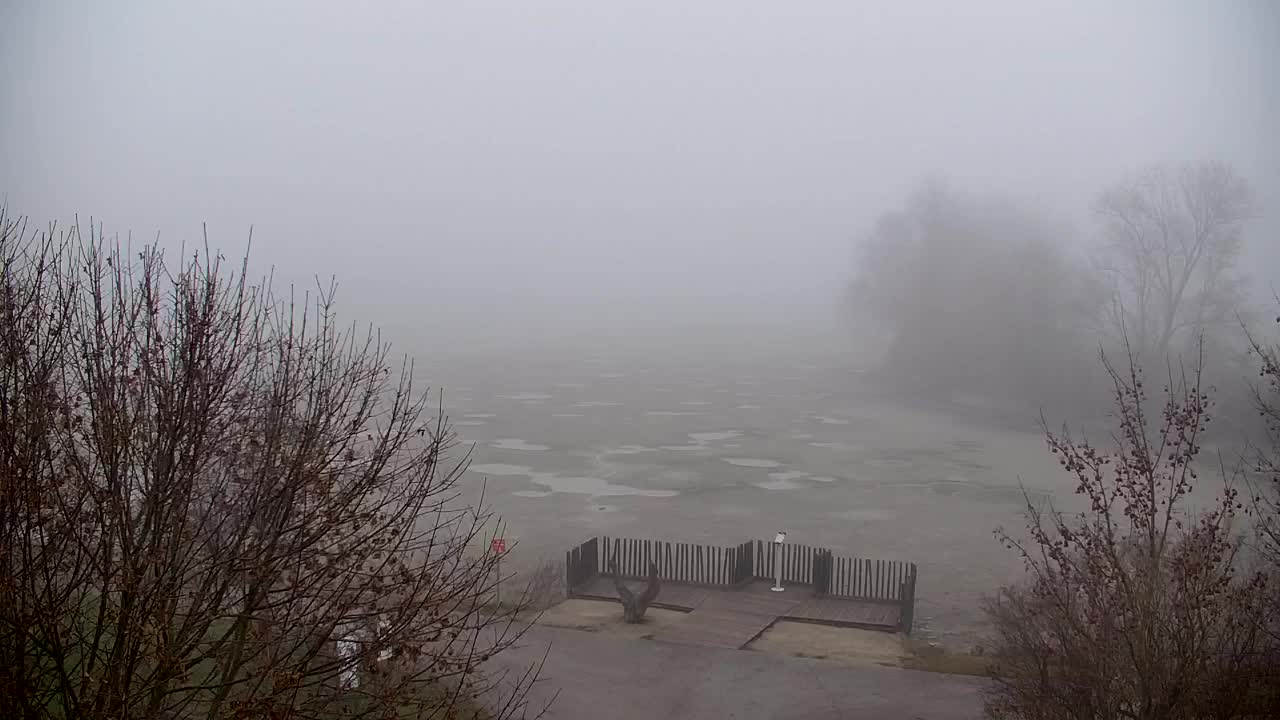 Spletna kamera Ribnik Vrbje – Žalec