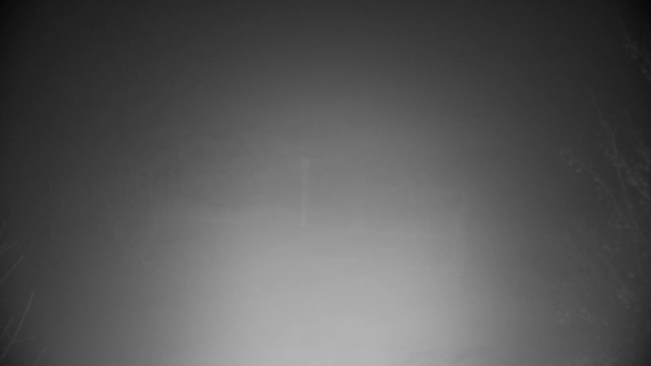 Webcam Ribnik Vrbje – Žalec