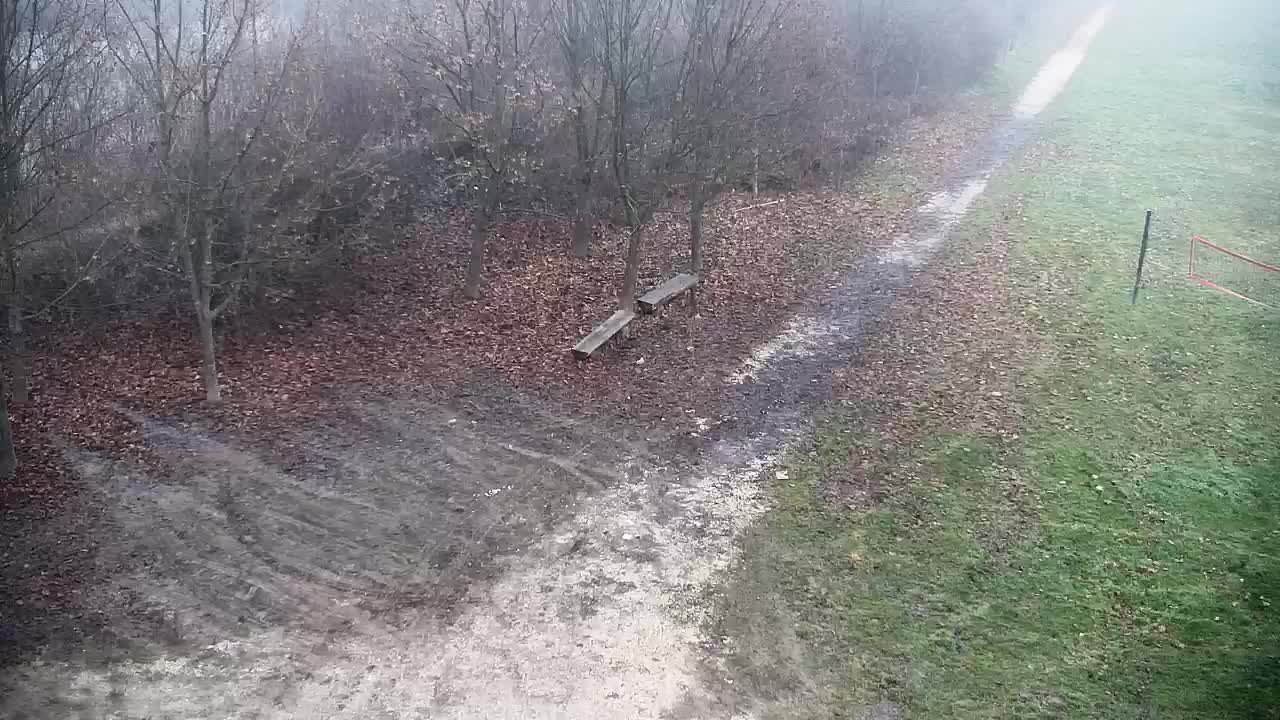 Webcam Ribnik Vrbje – Žalec