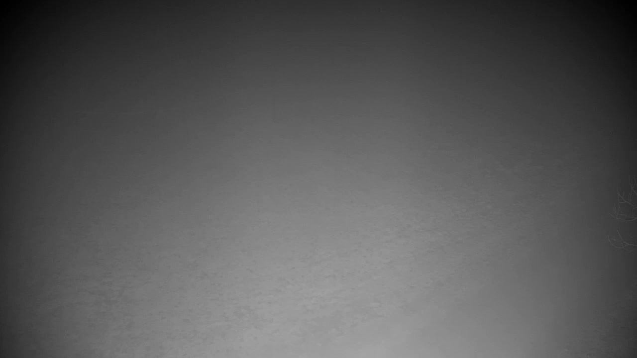 Webcam Ribnik Vrbje – Žalec