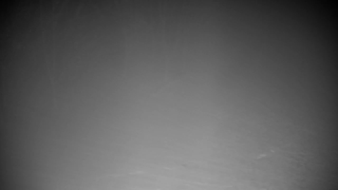 Webcam Ribnik Vrbje – Žalec