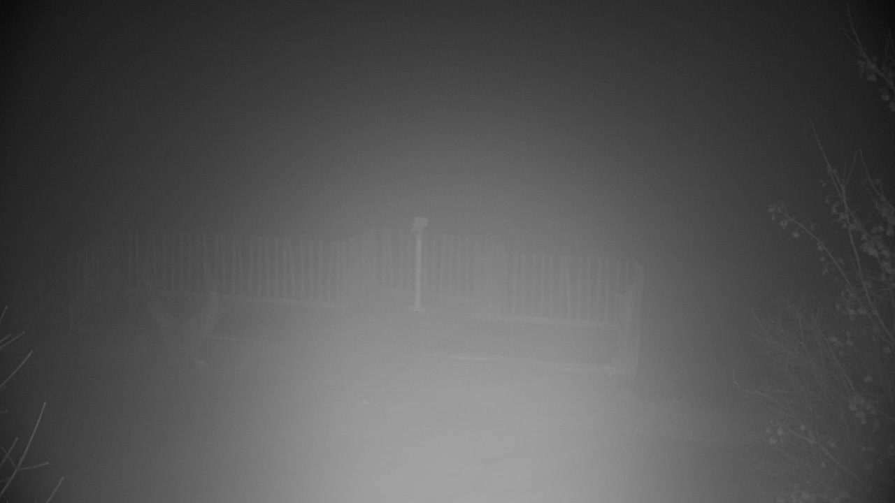 Webcam Ribnik Vrbje – Žalec