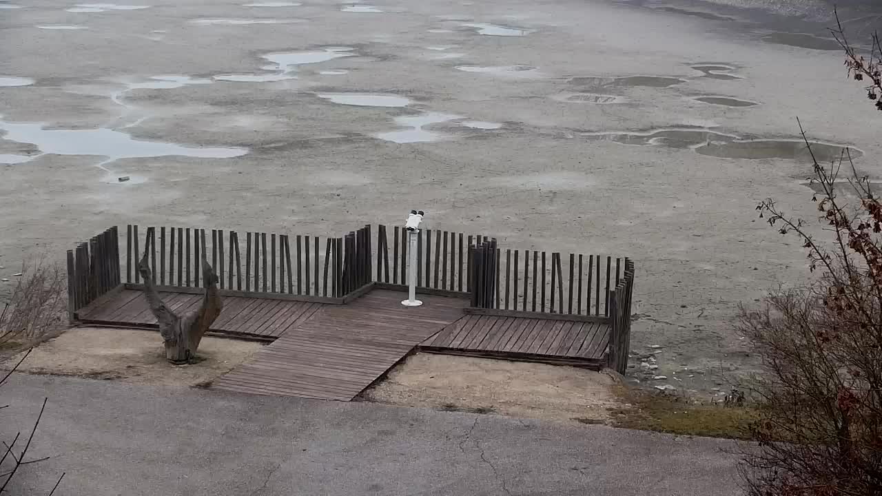 Spletna kamera Ribnik Vrbje – Žalec