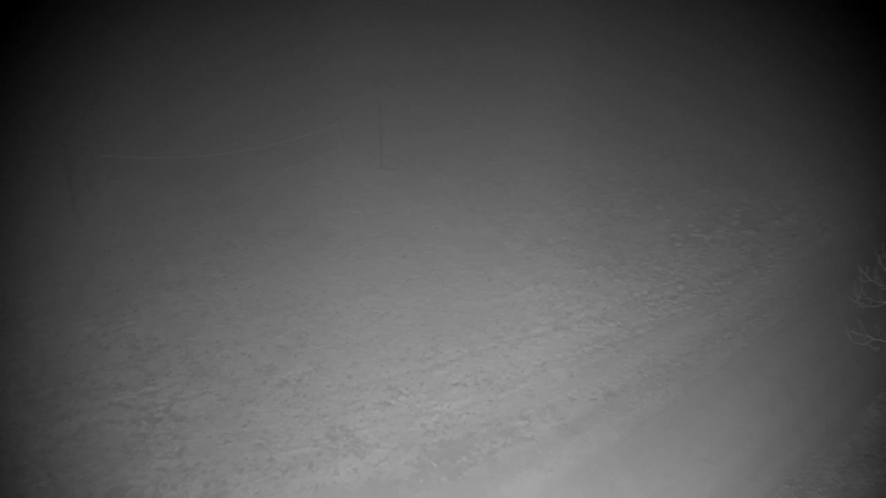 Webcam Ribnik Vrbje – Žalec