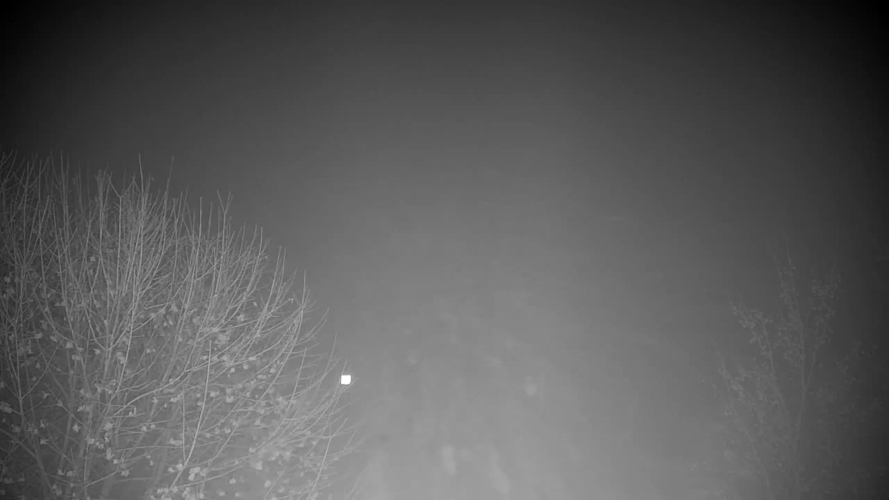 Spletna kamera Ribnik Vrbje – Žalec