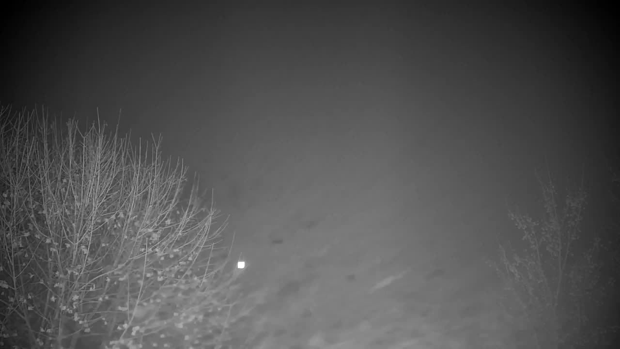 Webcam Ribnik Vrbje – Žalec