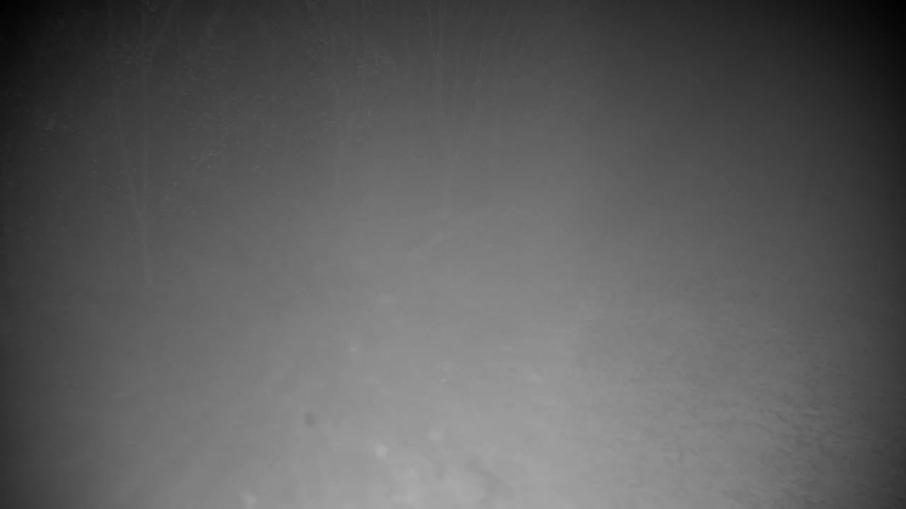 Webcam Ribnik Vrbje – Žalec