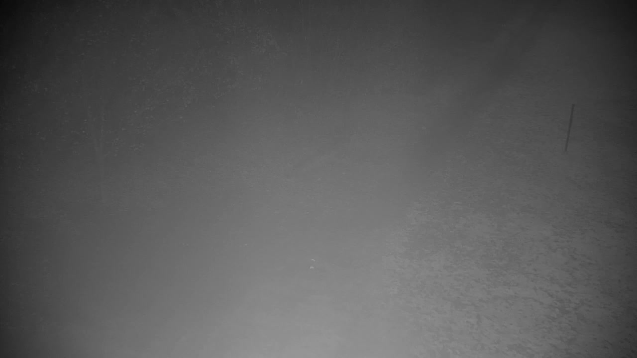 Webcam Ribnik Vrbje – Žalec