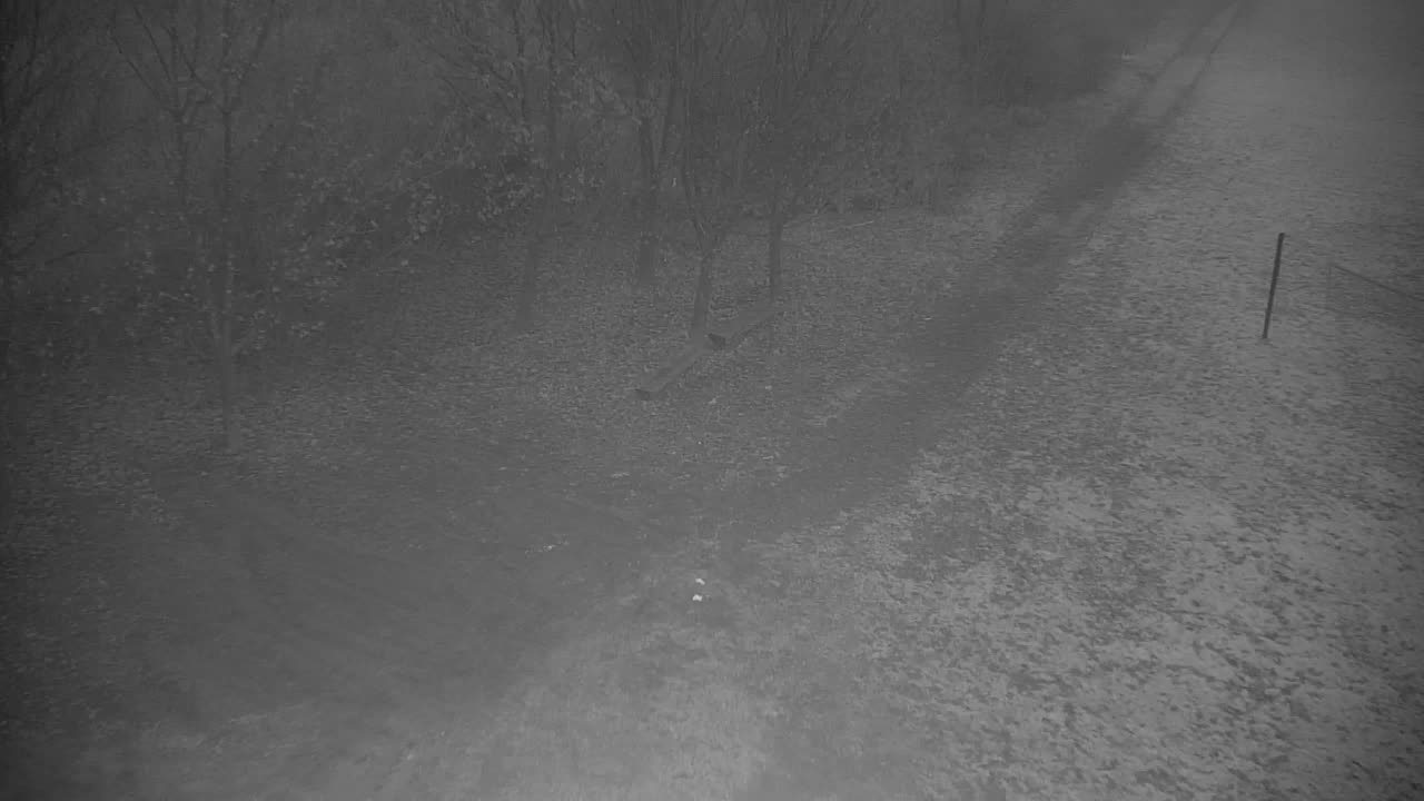 Webcam Ribnik Vrbje – Žalec