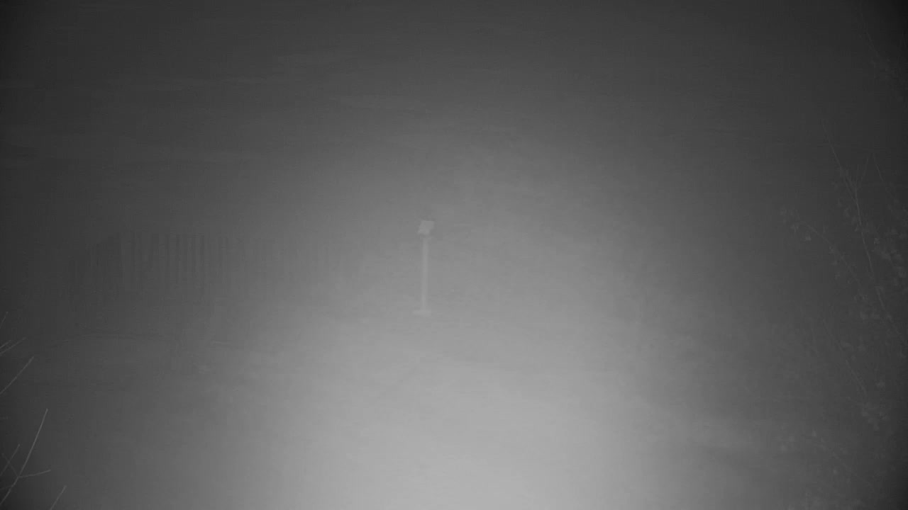 Webcam Ribnik Vrbje – Žalec