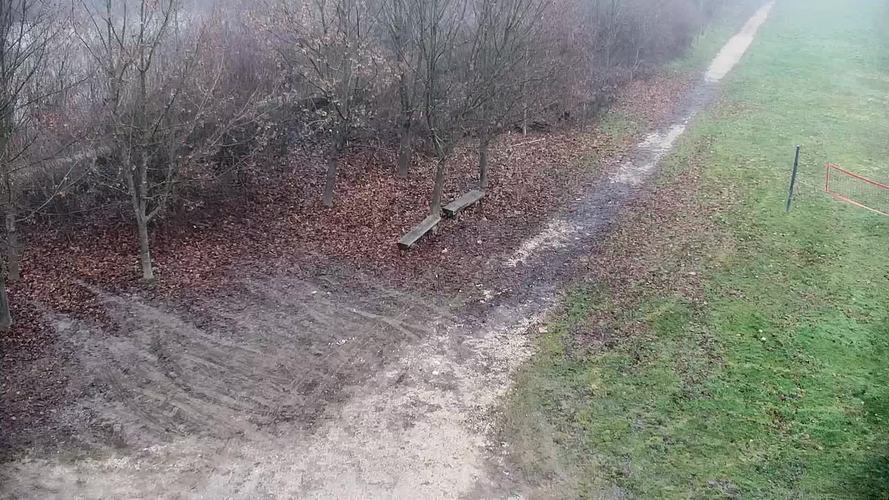 Webcam Ribnik Vrbje – Žalec