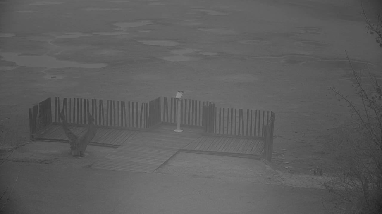 Webcam Ribnik Vrbje – Žalec