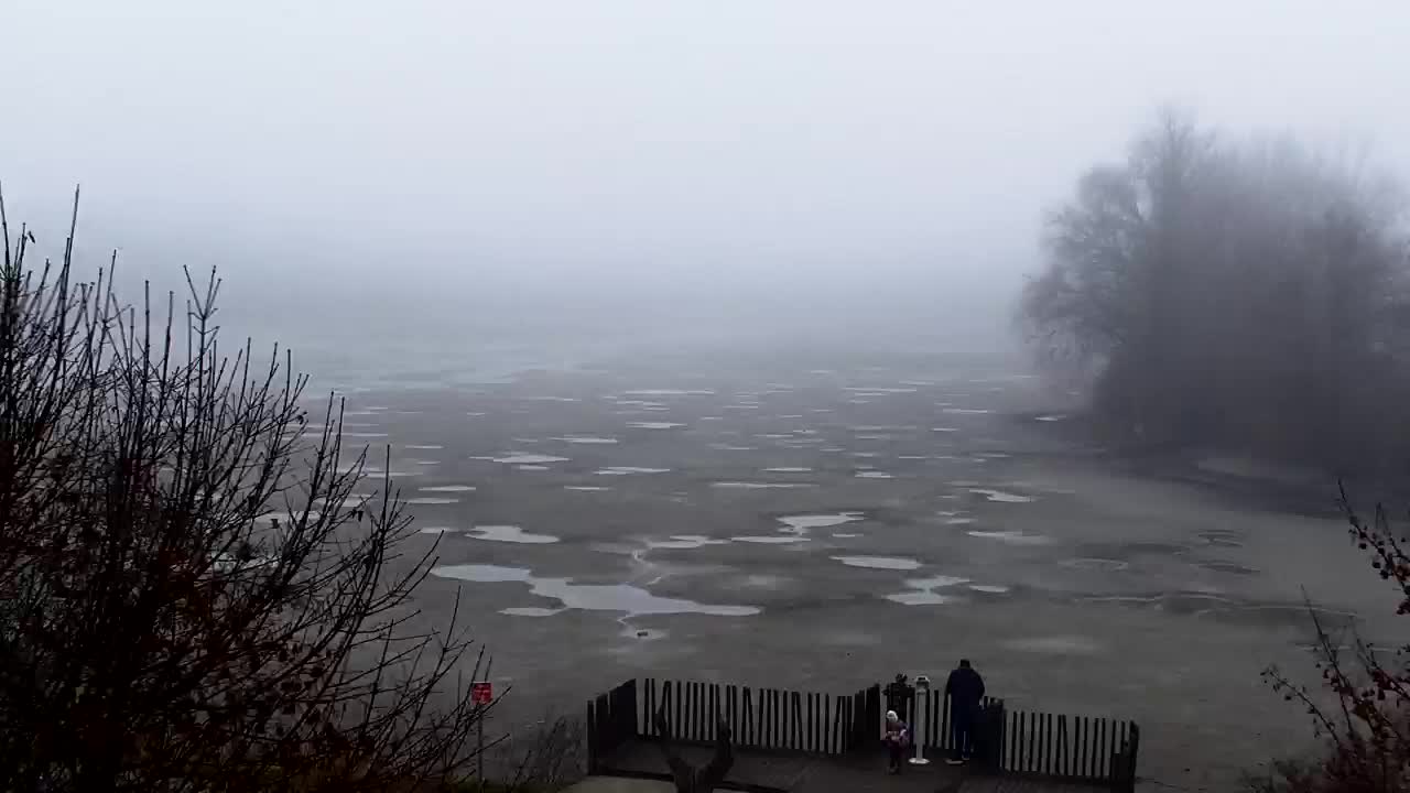 Webcam Ribnik Vrbje – Žalec