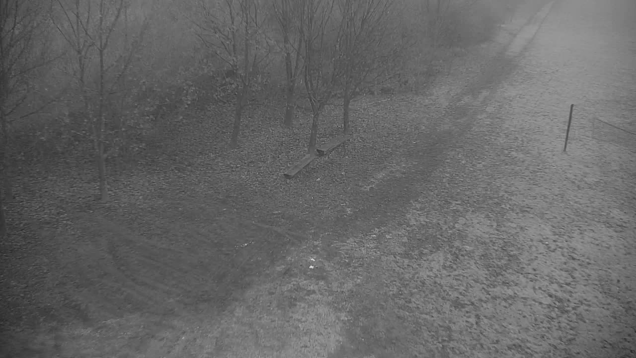 Webcam Ribnik Vrbje – Žalec