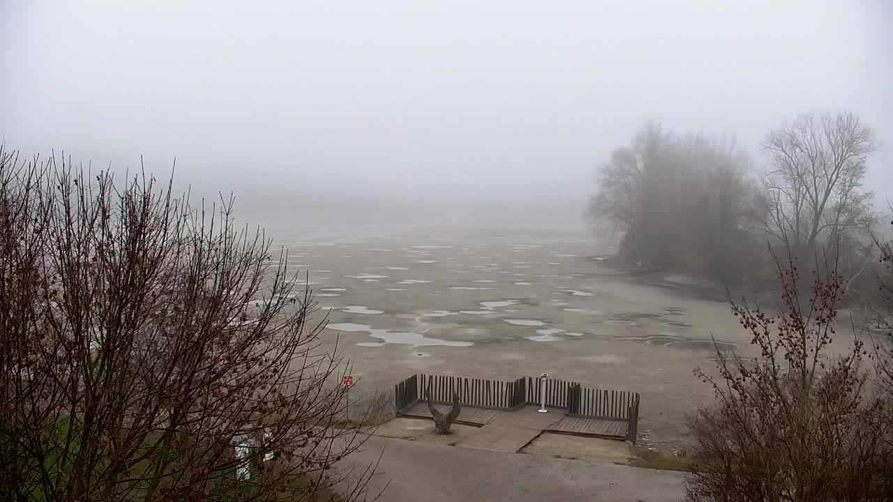 Webcam Ribnik Vrbje – Žalec