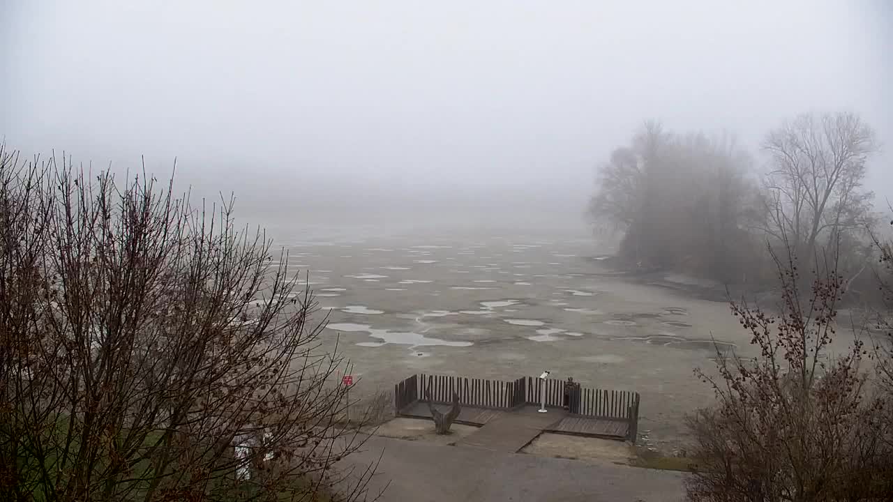 Web kamera Ribnik Vrbje – Žalec