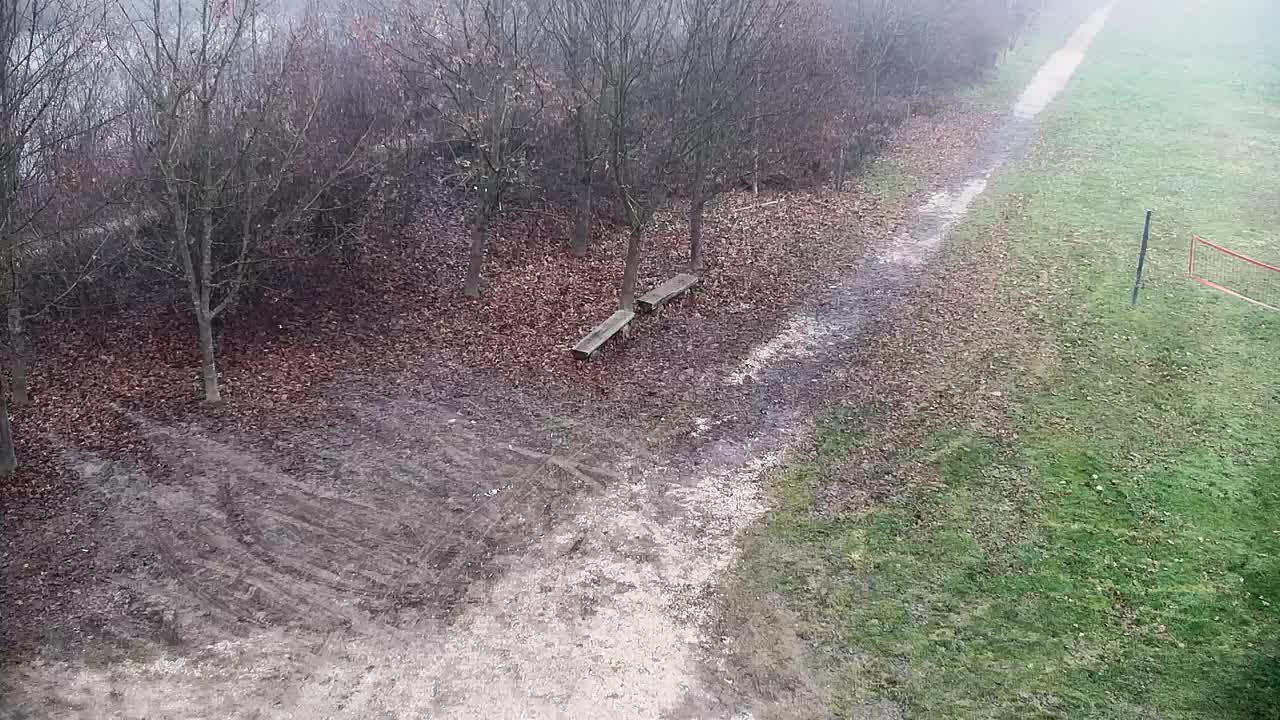 Webcam Ribnik Vrbje – Žalec