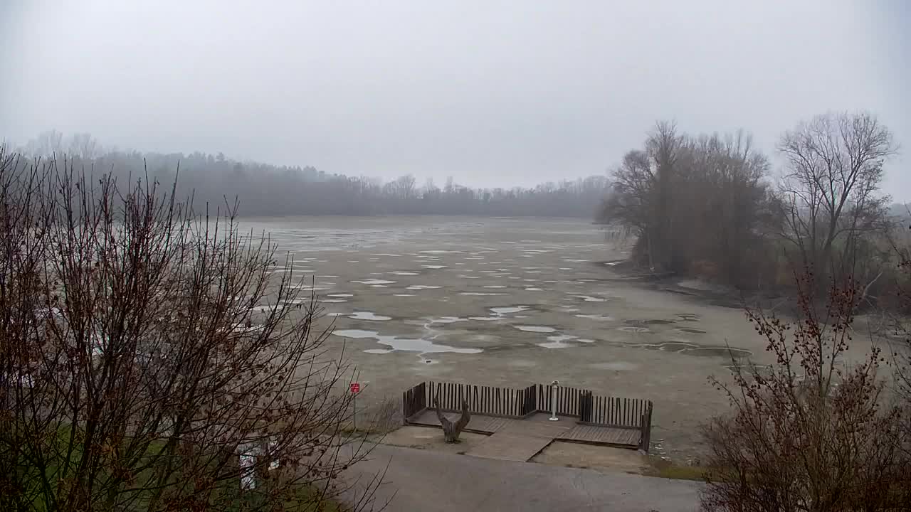 Webcam Ribnik Vrbje – Žalec