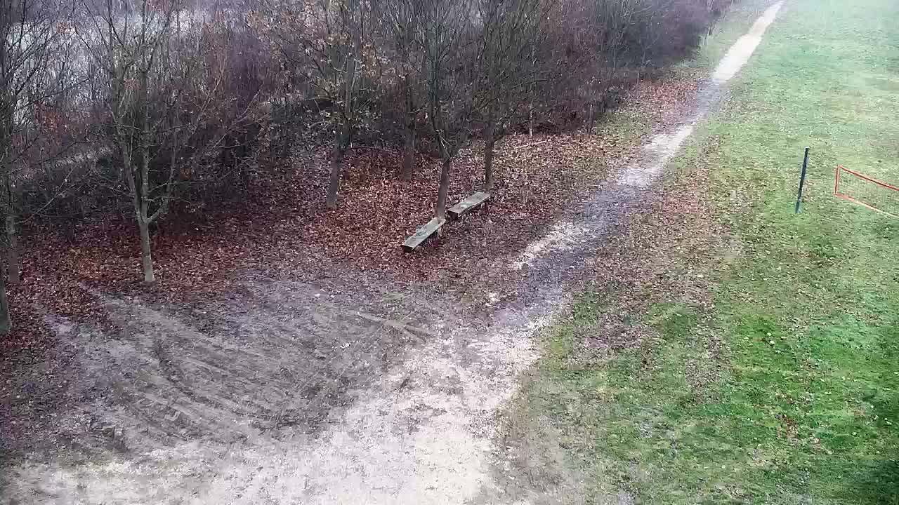 Spletna kamera Ribnik Vrbje – Žalec