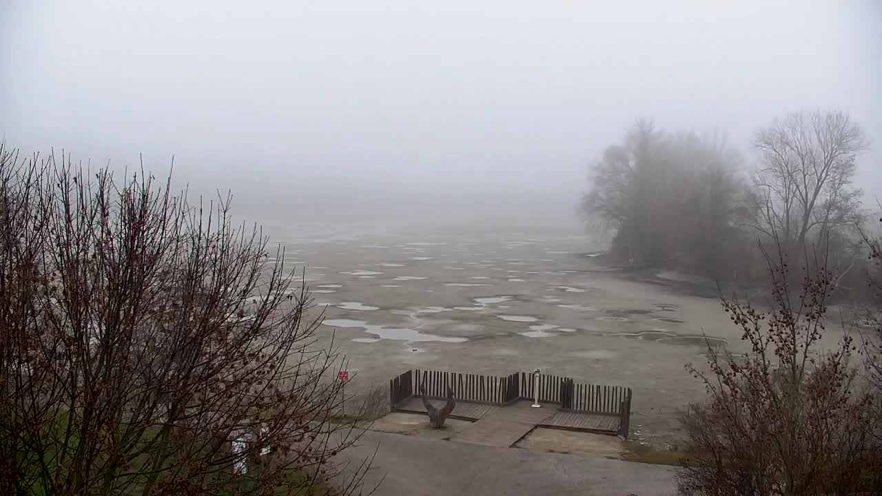 Webcam Ribnik Vrbje – Žalec