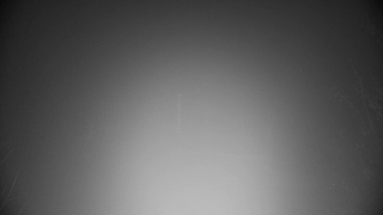 Webcam Ribnik Vrbje – Žalec