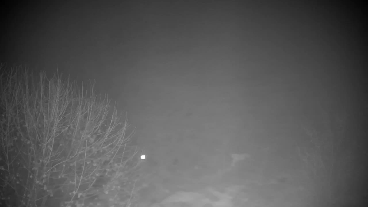 Webcam Ribnik Vrbje – Žalec