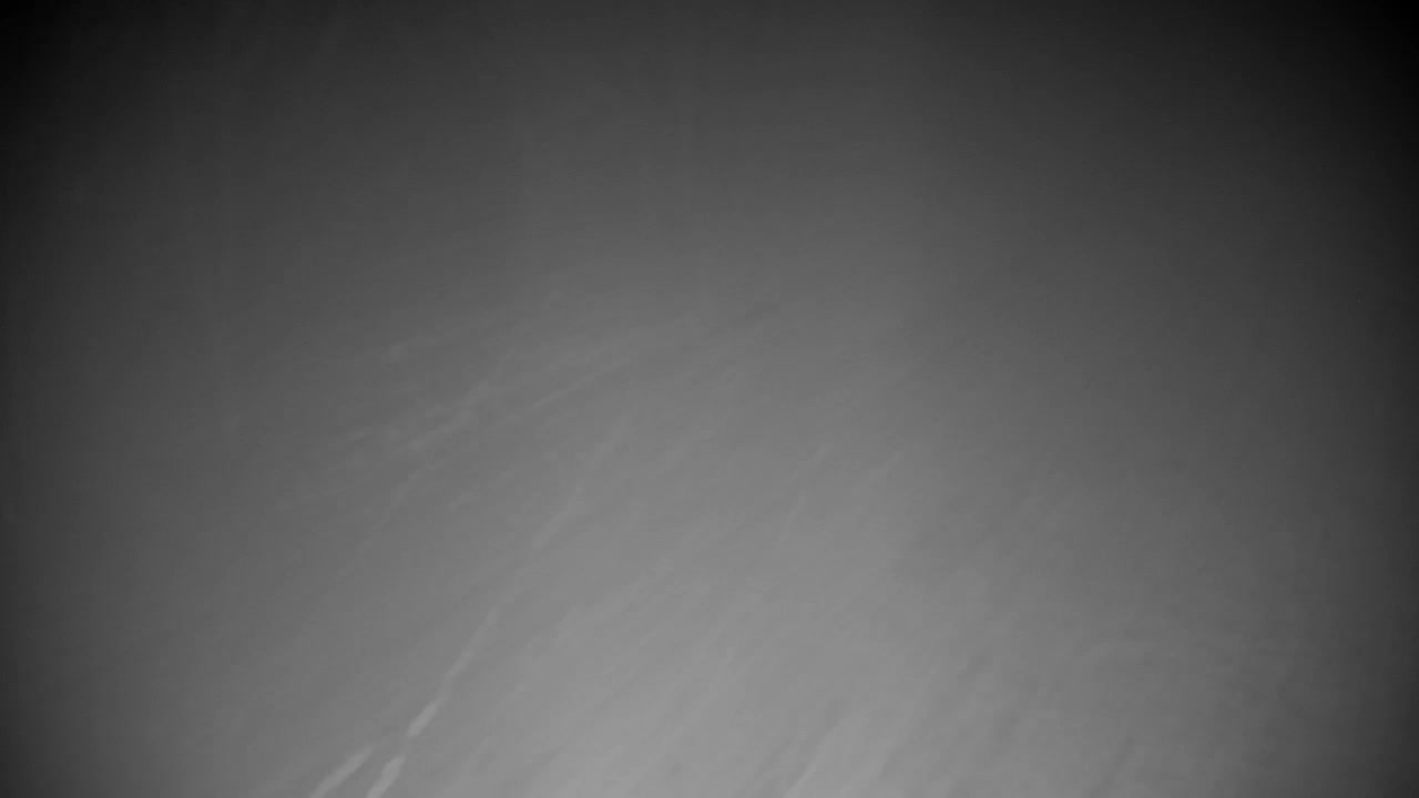 Webcam Ribnik Vrbje – Žalec