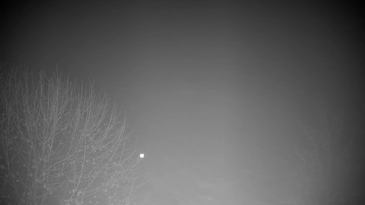 Webcam Ribnik Vrbje – Žalec