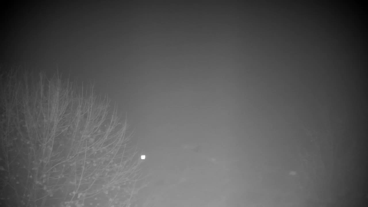 Webcam Ribnik Vrbje – Žalec