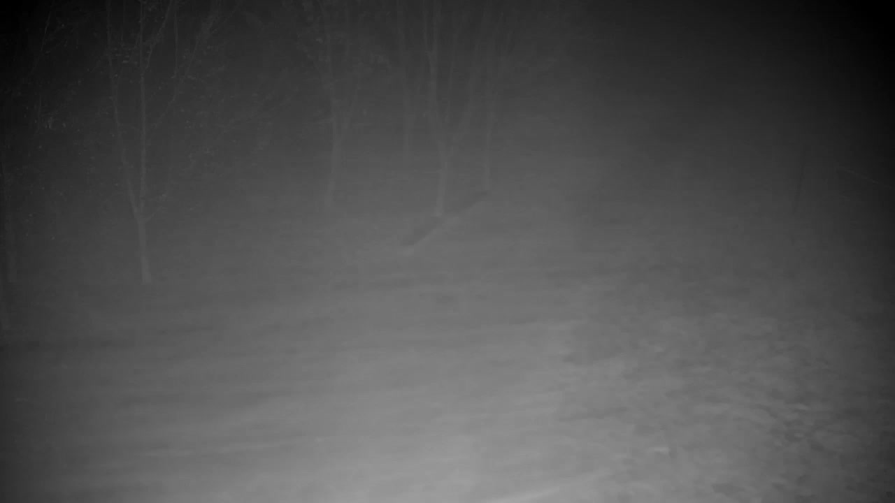 Webcam Ribnik Vrbje – Žalec