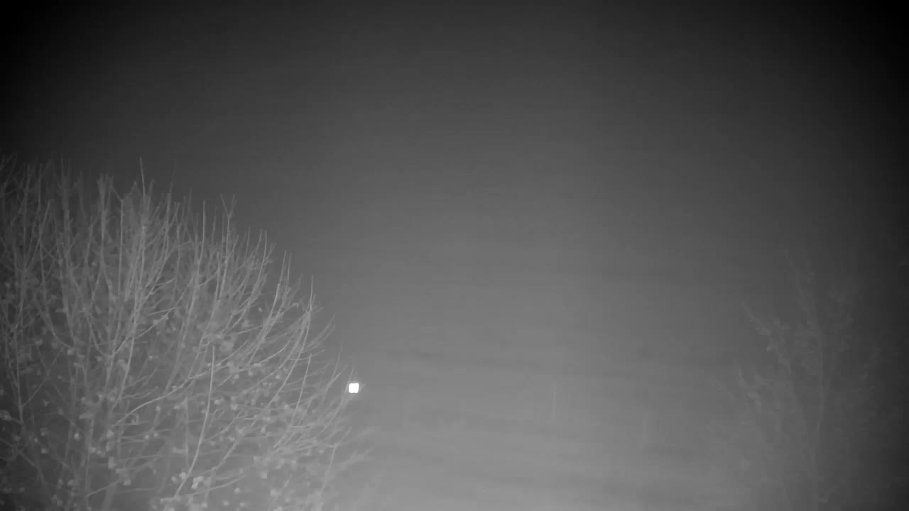 Webcam Ribnik Vrbje – Žalec