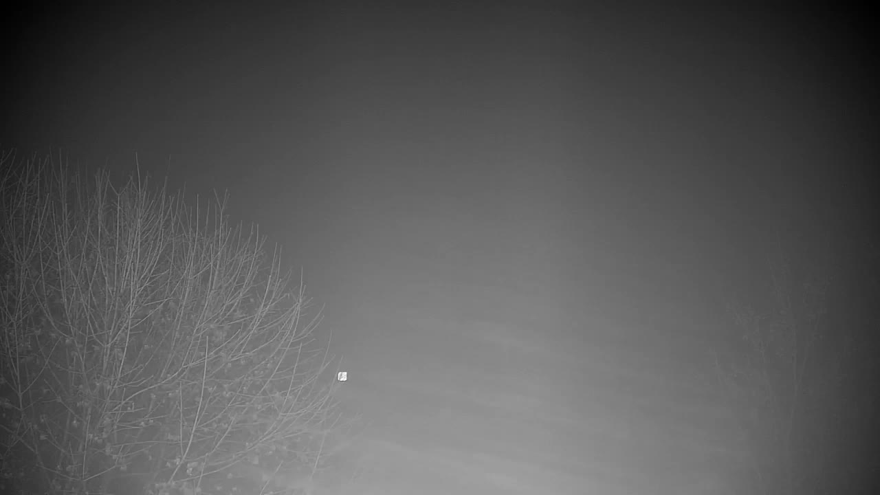 Webcam Ribnik Vrbje – Žalec