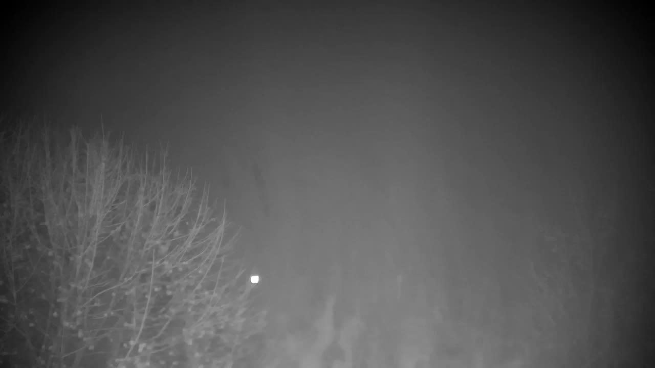 Webcam Ribnik Vrbje – Žalec