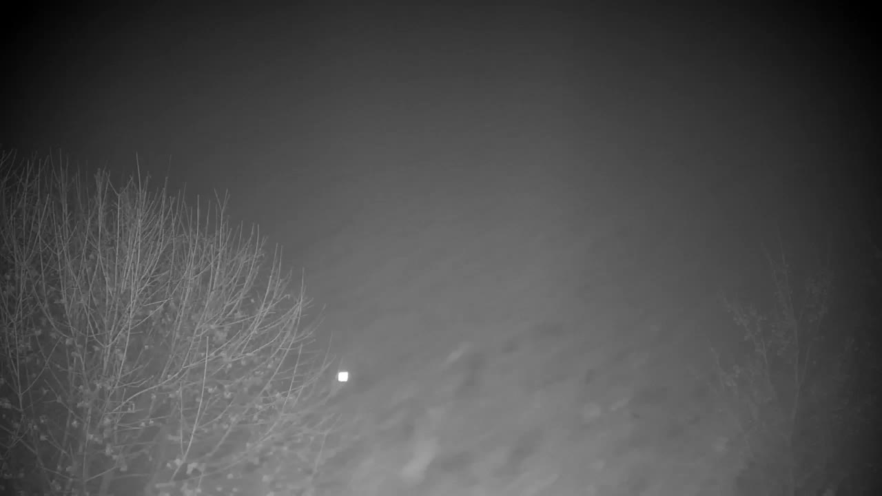 Web kamera Ribnik Vrbje – Žalec