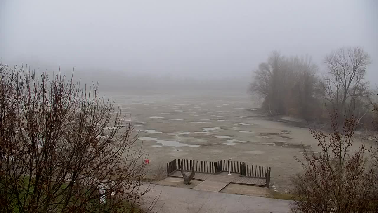 Webcam Ribnik Vrbje – Žalec