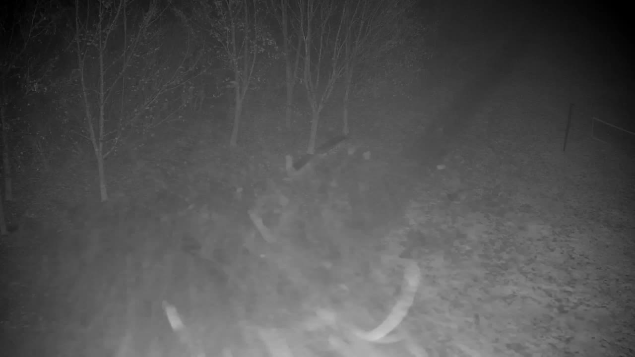 Webcam Ribnik Vrbje – Žalec