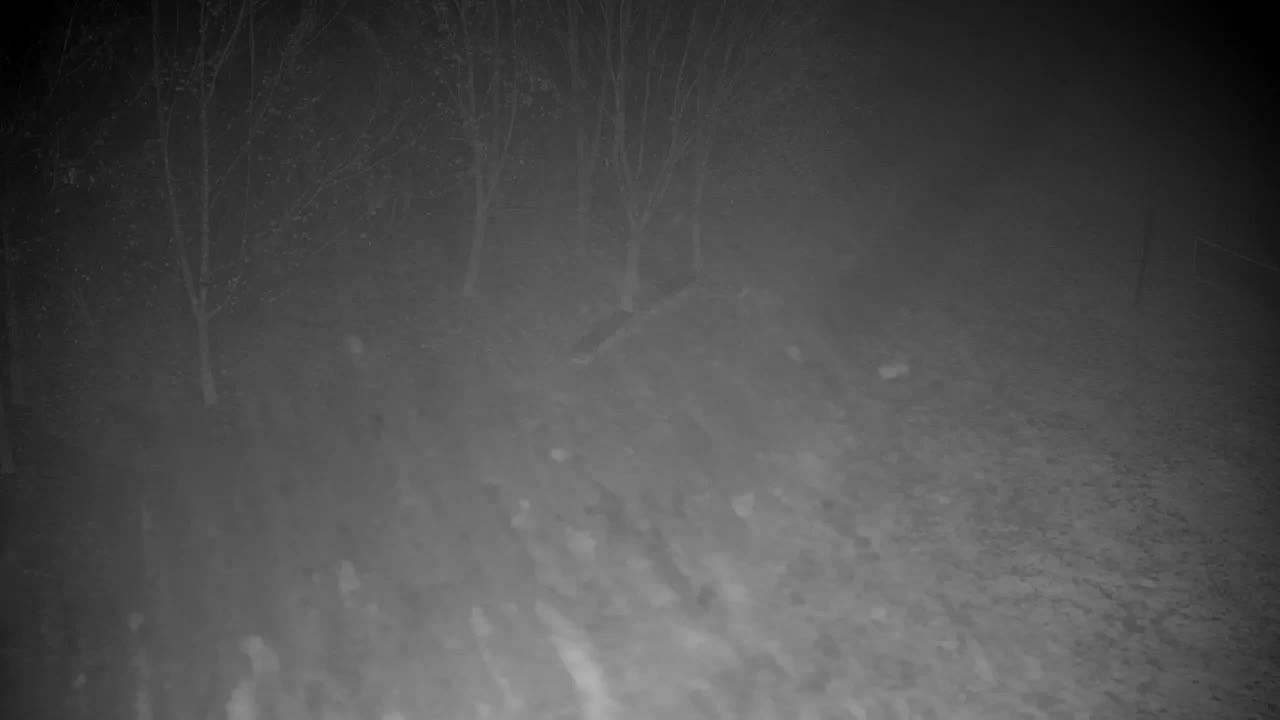 Webcam Ribnik Vrbje – Žalec