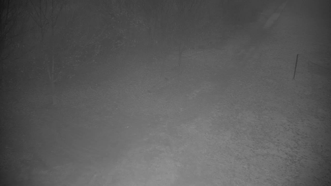 Webcam Ribnik Vrbje – Žalec