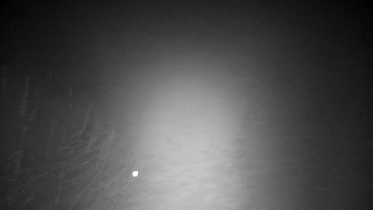 Webcam Ribnik Vrbje – Žalec