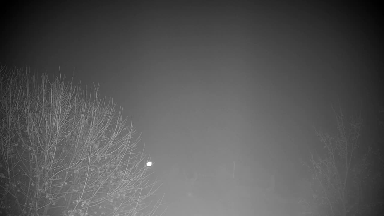 Webcam Ribnik Vrbje – Žalec