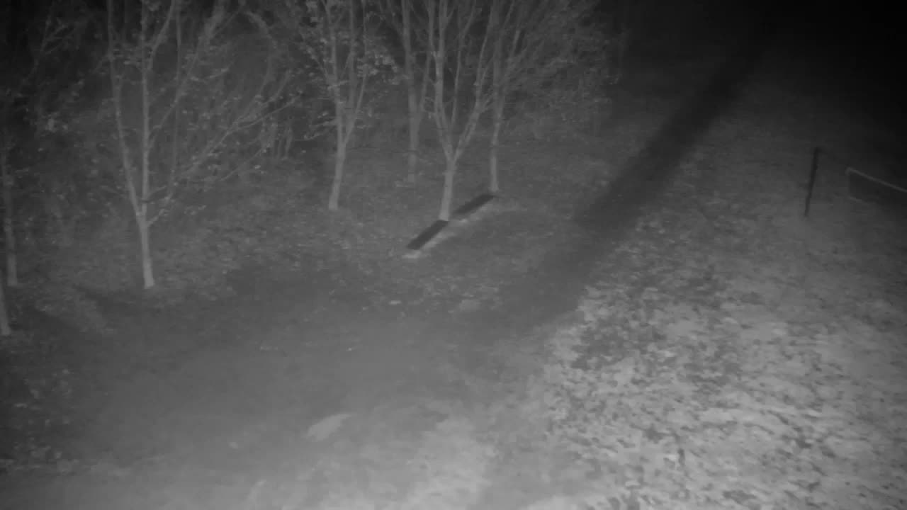 Webcam Ribnik Vrbje – Žalec