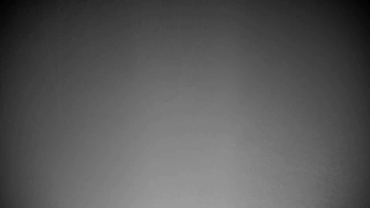 Webcam Ribnik Vrbje – Žalec