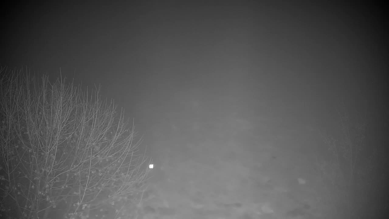 Spletna kamera Ribnik Vrbje – Žalec