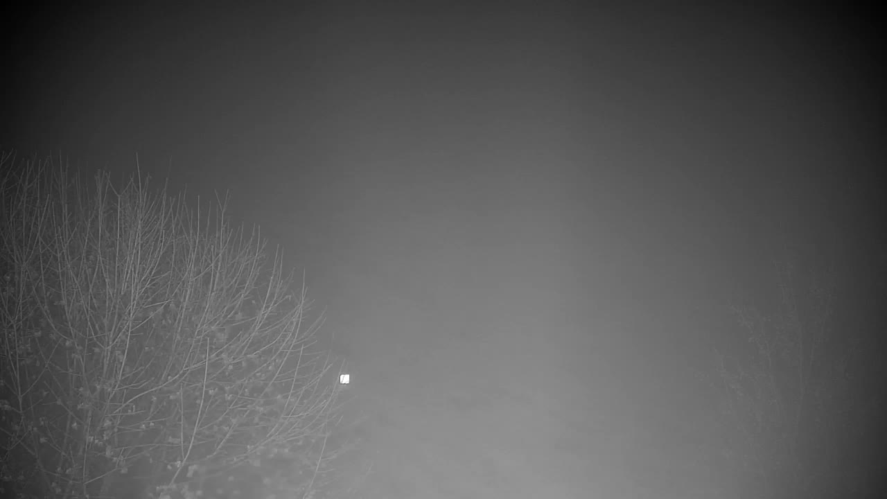 Webcam Ribnik Vrbje – Žalec