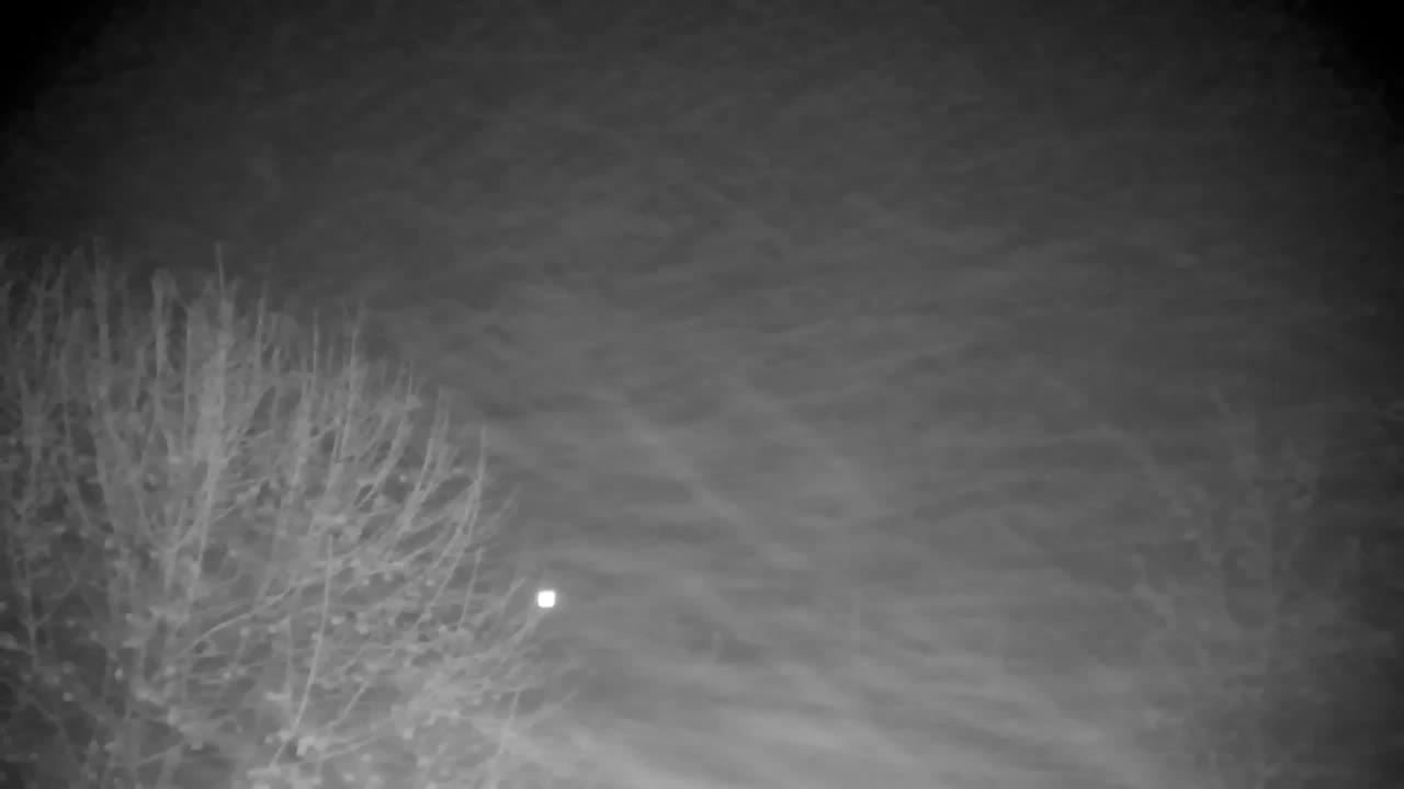 Webcam Ribnik Vrbje – Žalec